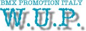WUP1.jpg (5248 byte)