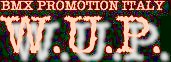 wup3.jpg (8290 byte)